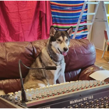 Leia_the_sound_engineer.png